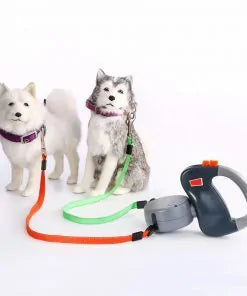 2-in-1 Dog Collars Dog Leash