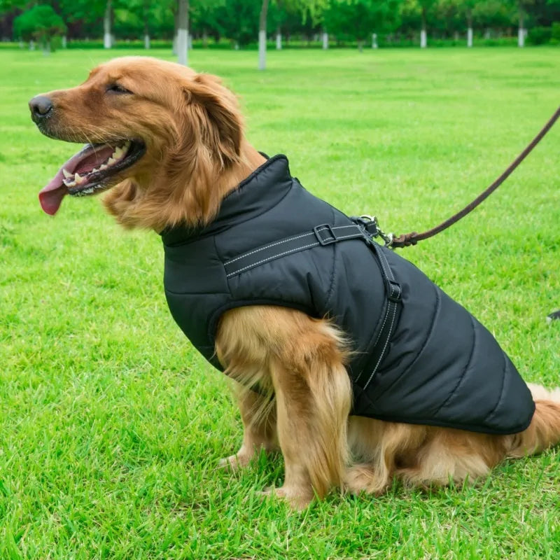 Pet Dog Jacket With Harness