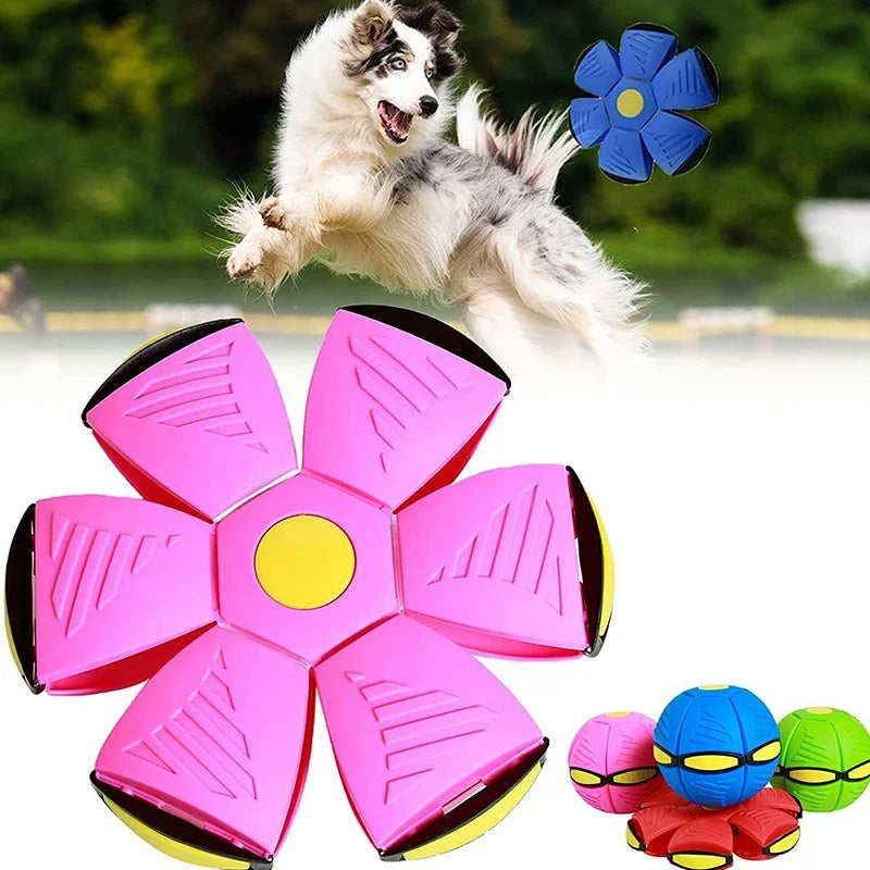 Dog Magic Deformation Flat Throw Disc Ball Pet Toy