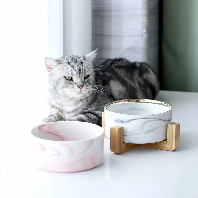 Marbling Ceramic Double Bowl For Pet