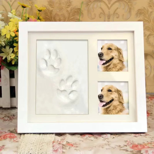 Pet Pawprint  Frame DIY