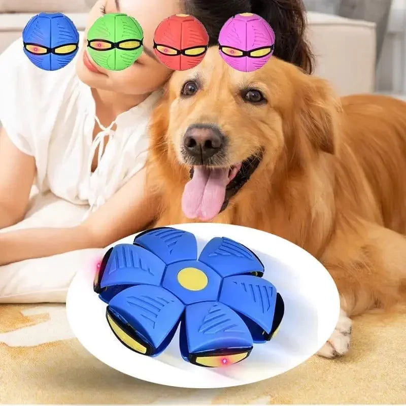 Dog Magic Deformation Flat Throw Disc Ball Pet Toy